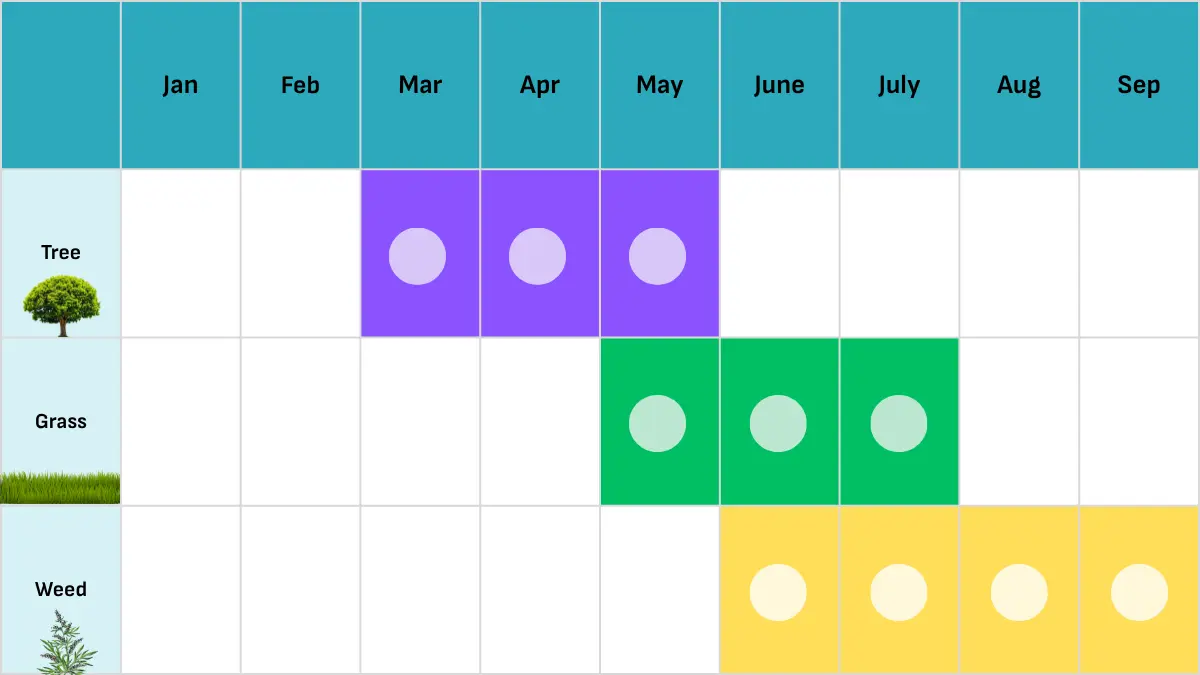 Pollen calendar showing peak seasons for tree, grass and weed pollen from January to September.